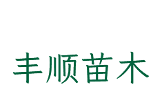 網(wǎng)站Logo